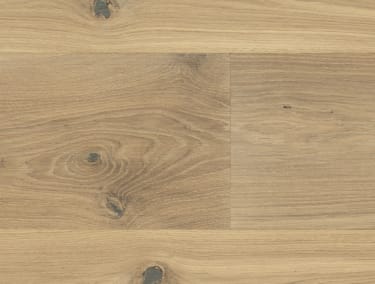 Amazon Character 260mm 1-Strip